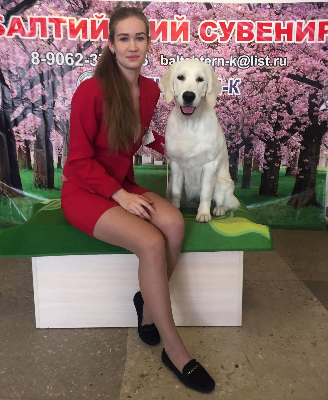 Национальная выставка собак всех пород 