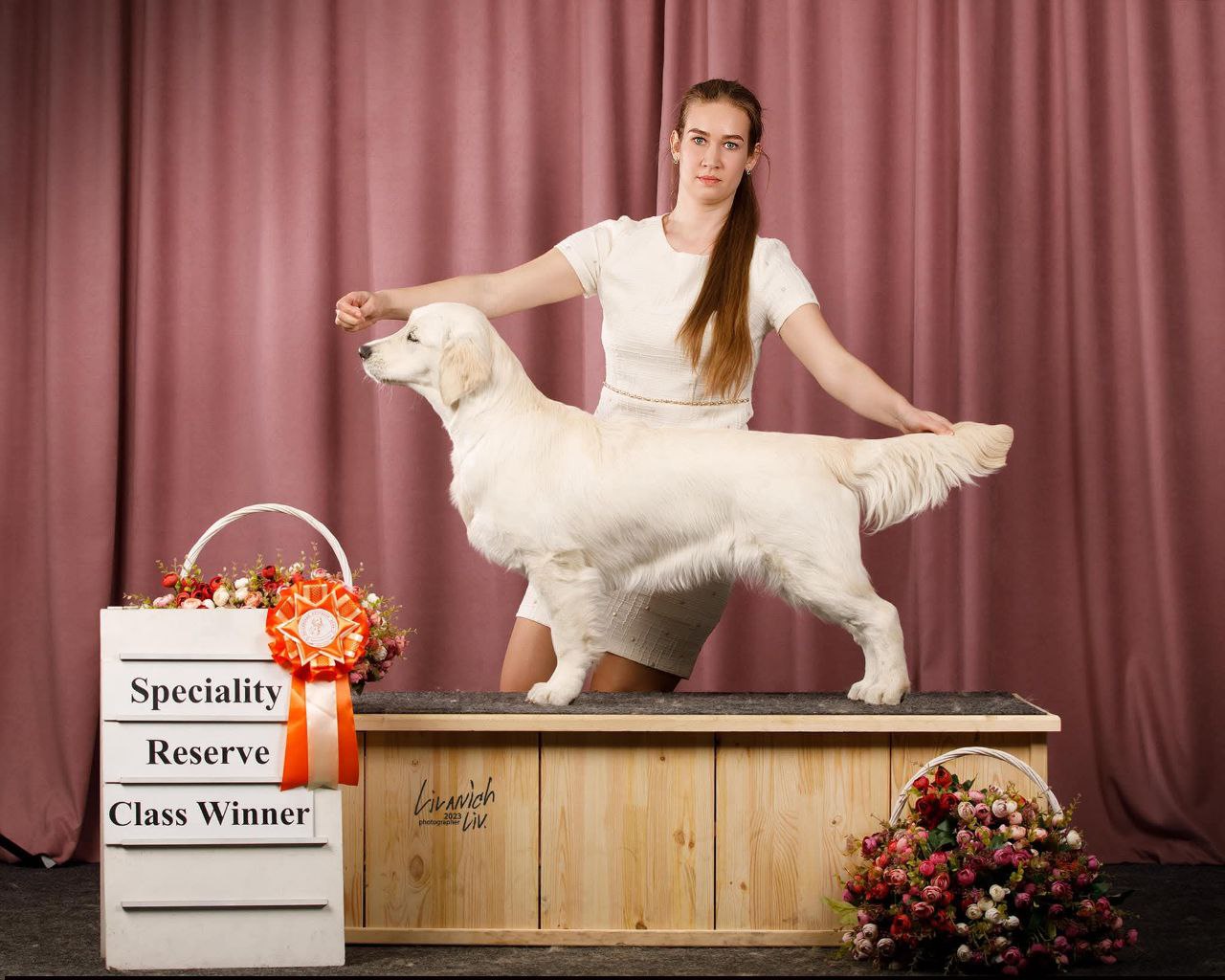 Российский ретривер клуб "Ретривер - 2023" Москва