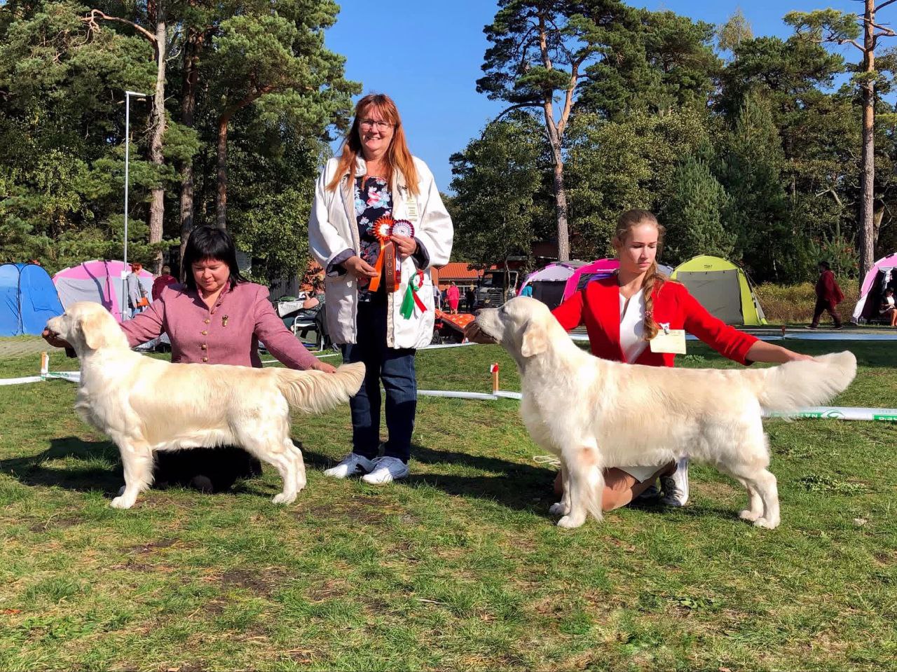 Международная выставка собак Паланга (Литва)
