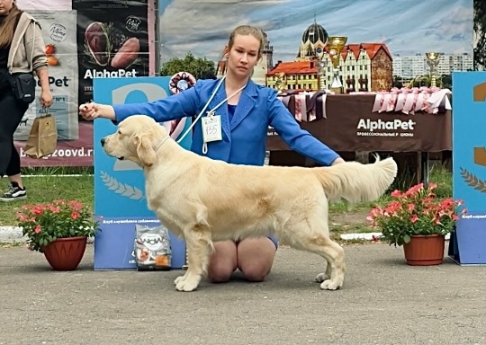 Национальная выставка собак всех пород