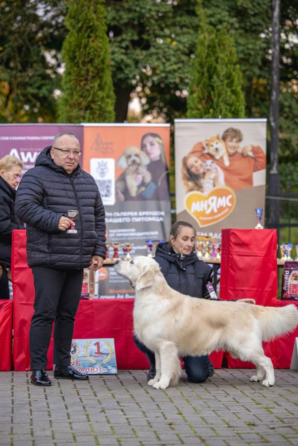 Национальная выставка собак всех пород