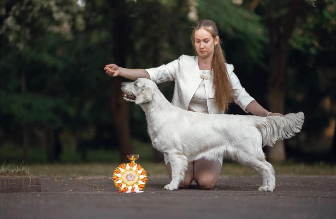 Национальная выставка собак всех пород г.Калининград 