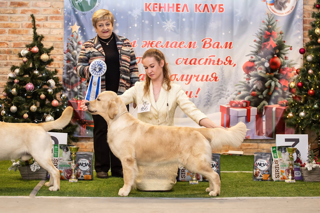 Национальная выставка собак всех пород