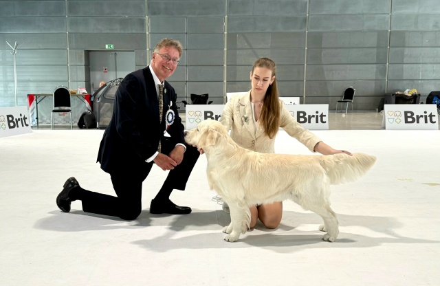 European Dog Show 2025 Brno
