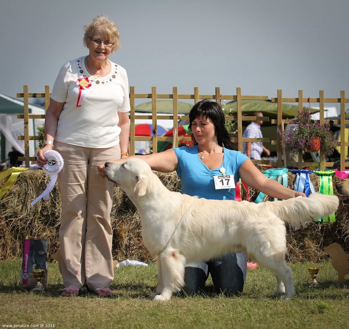 XIX Lithuanian retriever club show , Druskininkai (LT)