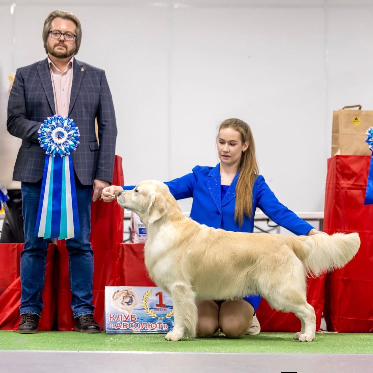 Национальная выставка собак всех пород г. Калининград