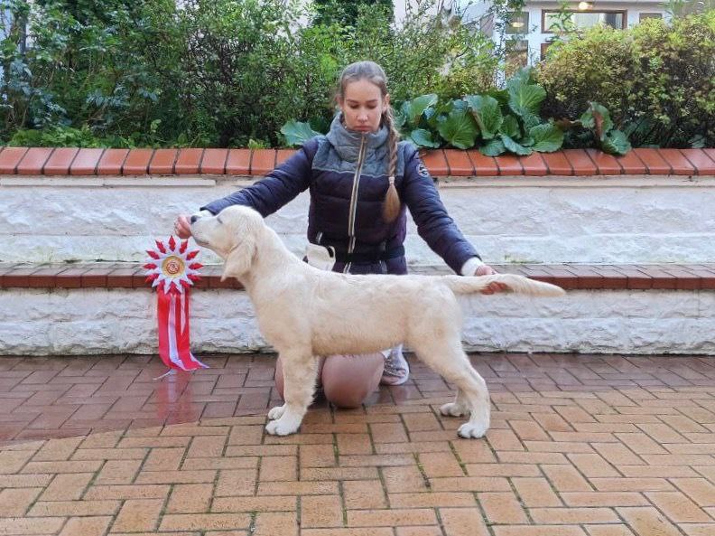 Национальная выставка собак всех пород