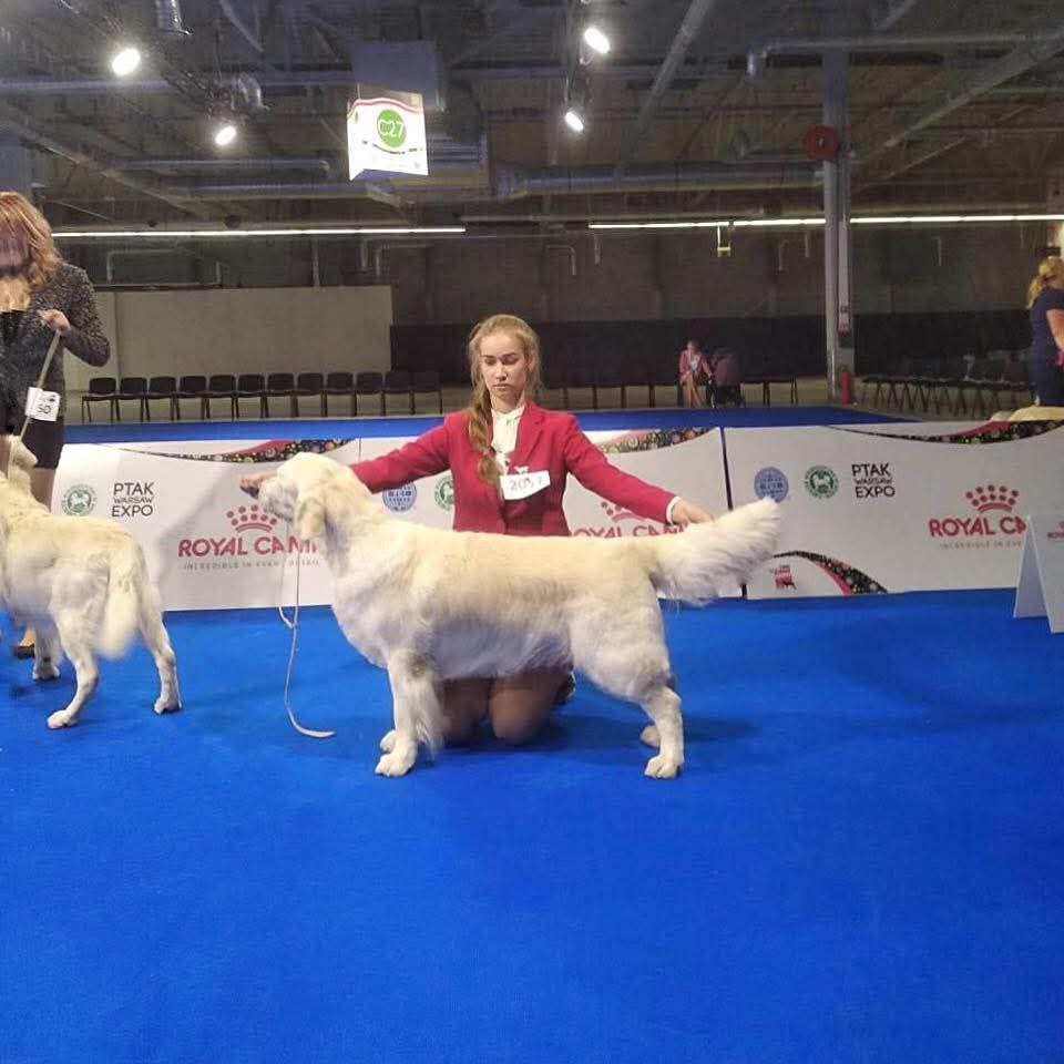Чемпионат Европы 2018 Варшава European Dog Show Warszawa 