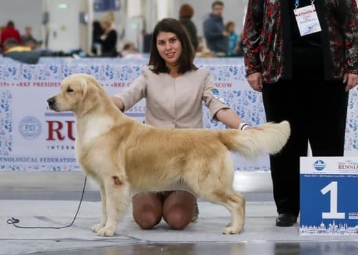 Фото Matty стойка