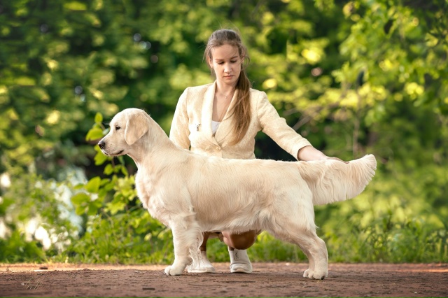 Монопородная выставка