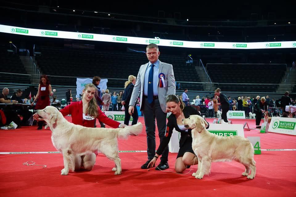 Международная выставка собак всех пород Каунас