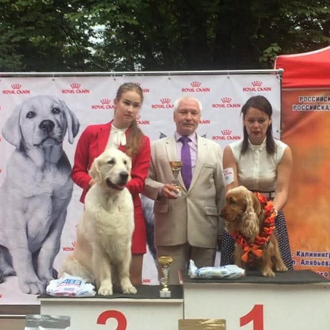 Национальная выставка собак всех пород