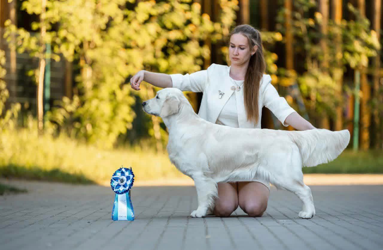 Национальная выставка собак всех пород 