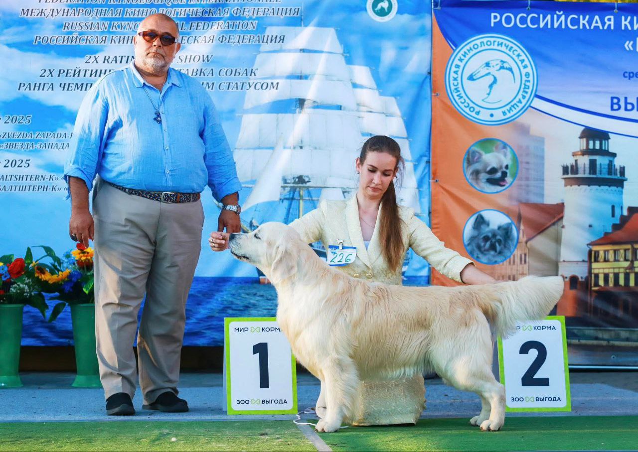 Рейтинговые выставки г. Калининград