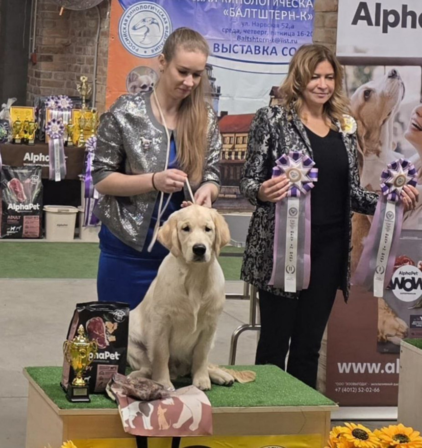 Национальная выставка собак всех пород