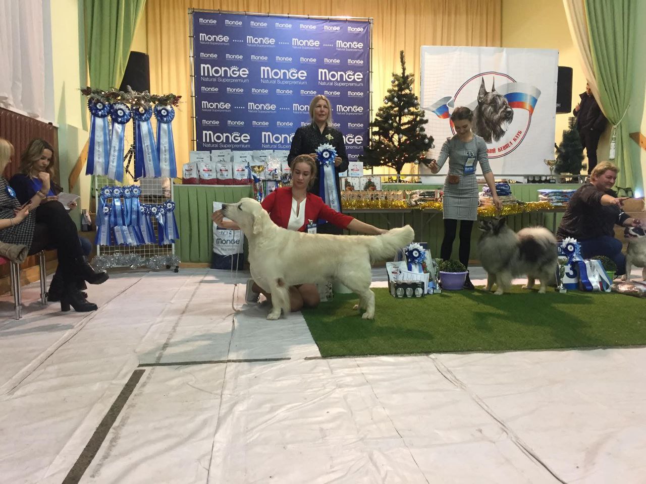 Национальная выставка собак всех пород 