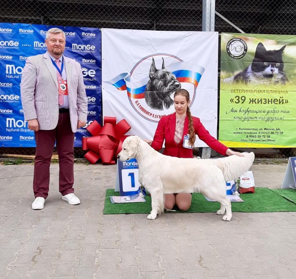 Национальная выставка собак всех пород 