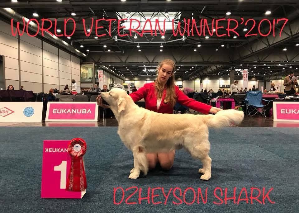 Чемпионат Мира 2017 Лейпциг Германия WORLD DOG SHOW 2017 Leipzig