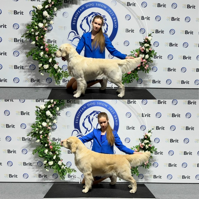 National Dog Show Brno pre EDS