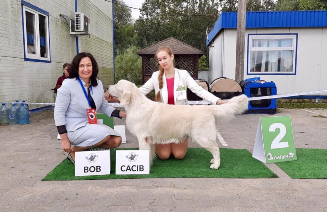 Международная выставка собак всех пород 