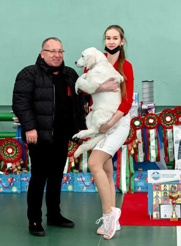 Национальная выставка собак всех пород 