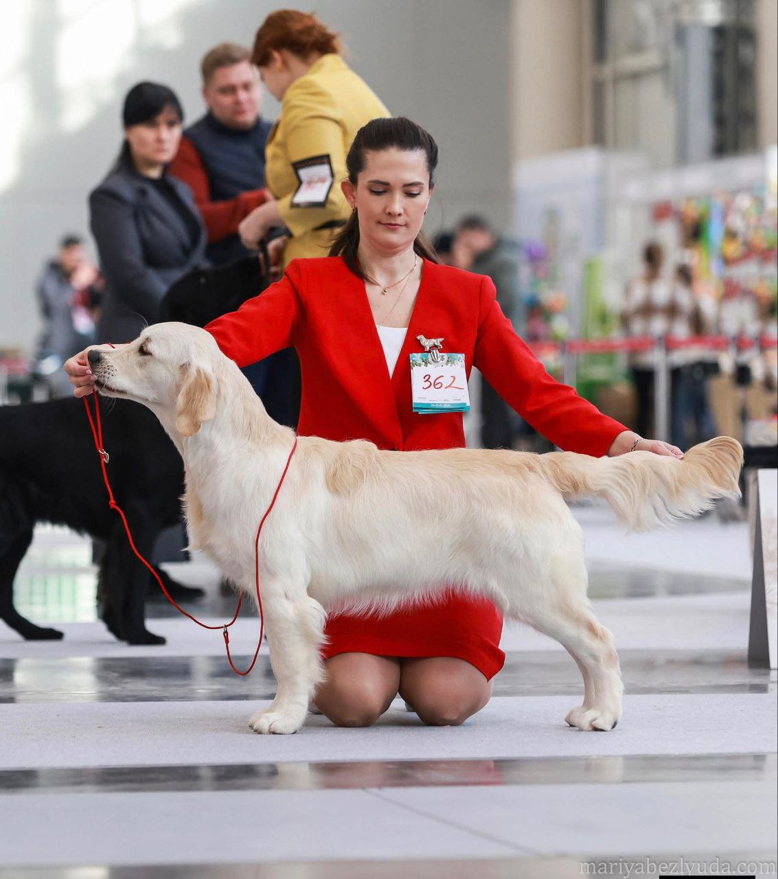 Рейтинговая выставка памяти Сабанеева 