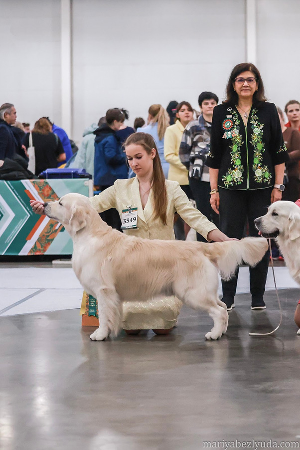 Евразия, Кубок Президента РКФ, г. Москва