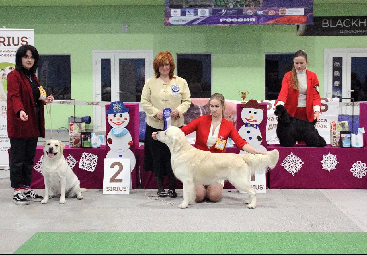 Национальная выставка собак всех пород 