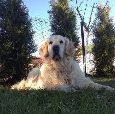 Фото Tina морда