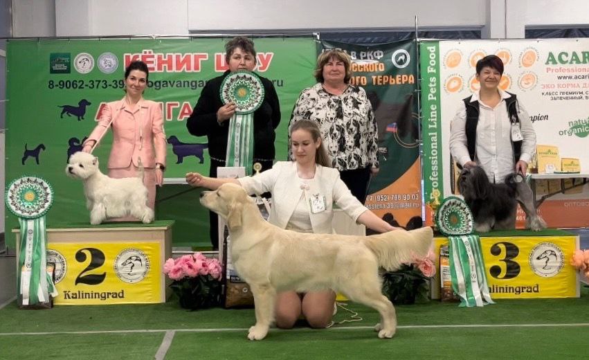 Национальная выставка собак всех пород 