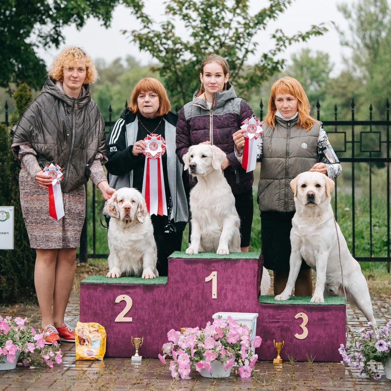 Национальная выставка собак всех пород + CAC VIII gr. + Speciality 