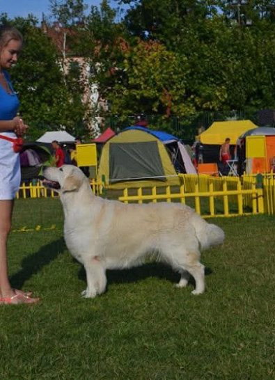 4 Summer Night Shows Split 2015 CROATIA