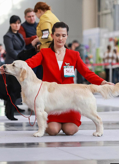 Рейтинговая выставка памяти Сабанеева 