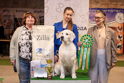 Национальная выставка собак всех пород_0