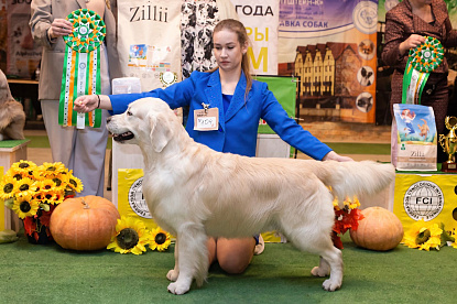 Национальная выставка собак всех пород_3