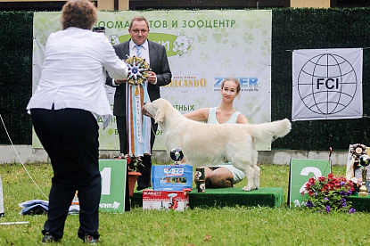 Национальная выставка собак всех пород _0