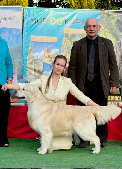 Национальная выставка собак всех пород