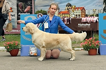Национальная выставка собак всех пород_2