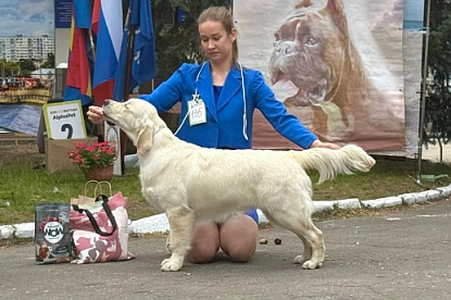 Национальная выставка собак всех пород_1