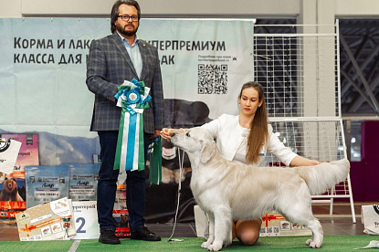 Национальная выставка собак всех пород _0