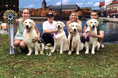 Международная выставка собак всех пород _4