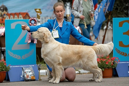 Национальная выставка собак всех пород_0