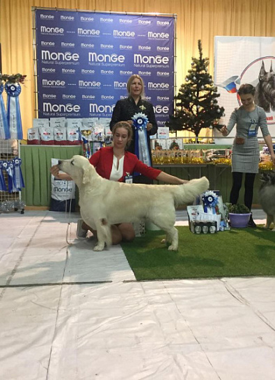 Национальная выставка собак всех пород 