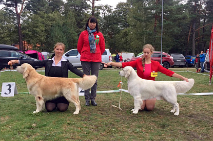Международная выставка собак Паланга (Литва)_0