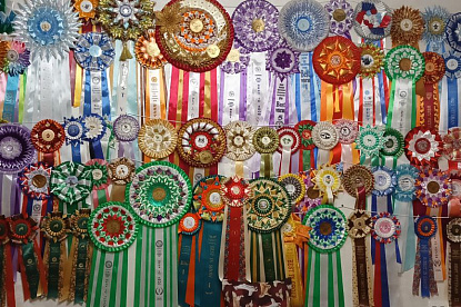 За рингом_14