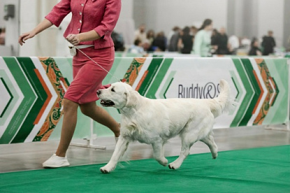 Евразия 2024, г. Москва_3