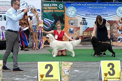 Рейтинговые выставки Калининград_1