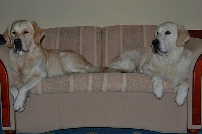 Наша жизнь_12