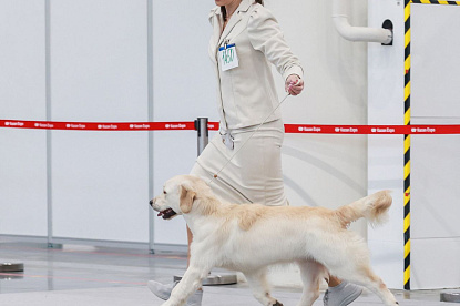 Рейтинговая выставка памяти Сабанеева _0