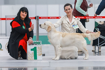 Рейтинговая выставка памяти Сабанеева _2